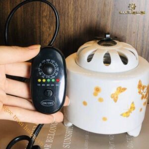 Lư xông điện trầm hương hoa mai vàng – Tịnh Agarwood